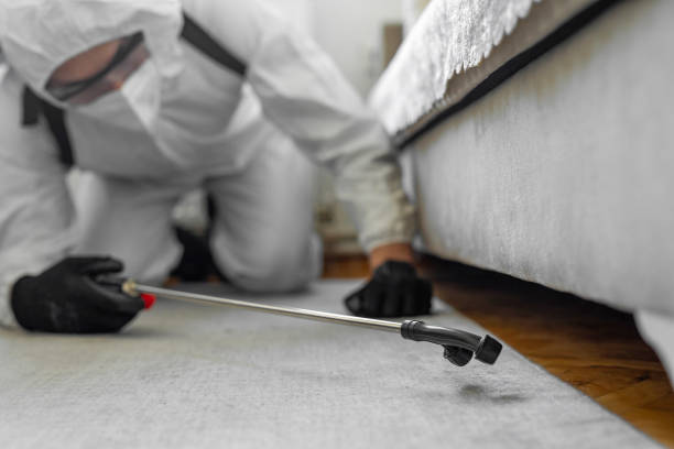 Professional Bed Bug Control technician working in Mattituck, NY