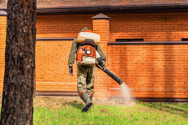 Trusted Mosquito Control service in Mattituck, NY - Nex Pest Control